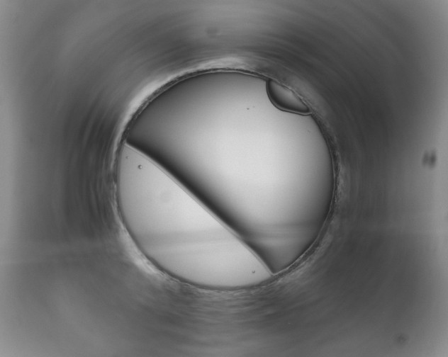 X0000111120800200906301040