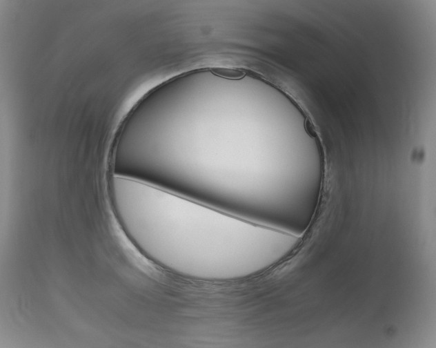 X0000111120803200906301040
