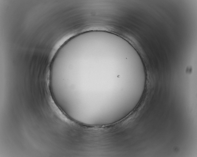 X0000111120804200906301040