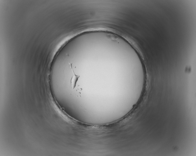 X0000111120805200906301040