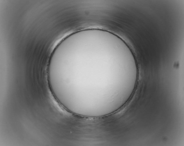 X0000111120806200906301040