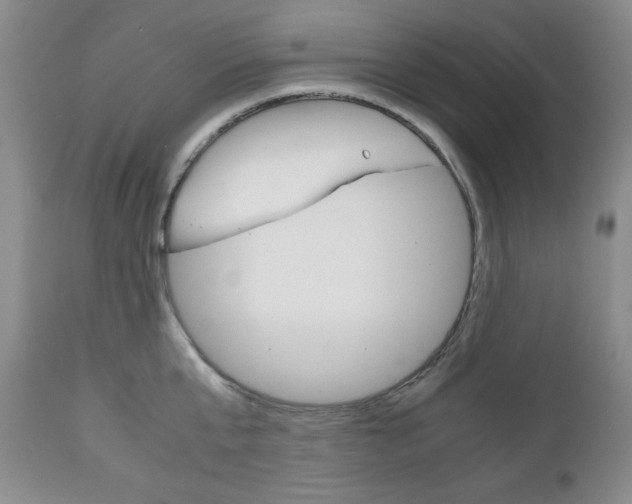 X0000111120807200906301040