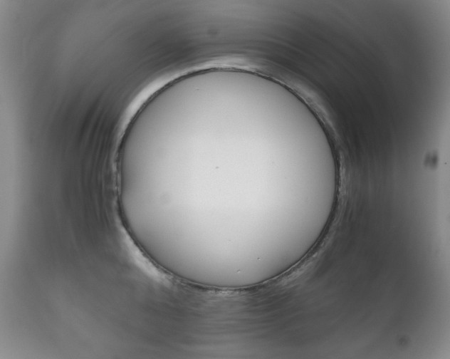 X0000111120808200906301040