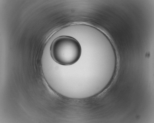 X0000111120809200906301040