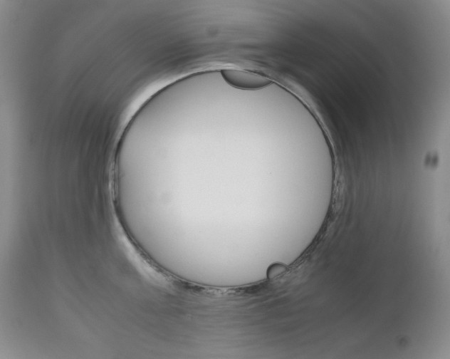 X0000111120811200906301040