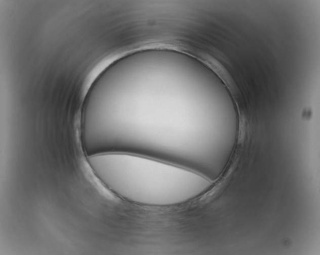 X0000111120812200906301040