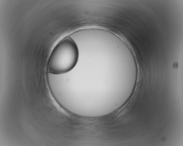 X0000111120813200906301040