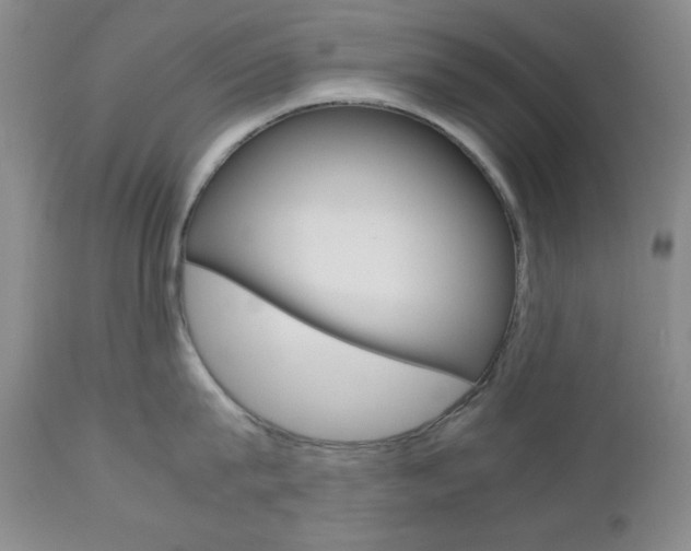 X0000111120815200906301040