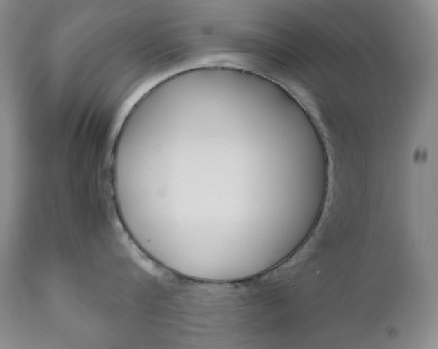 X0000111120816200906301040