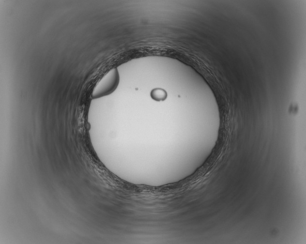 X0000111120818200906301039