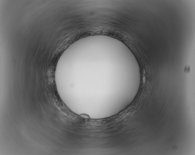 X0000111120819200906301039