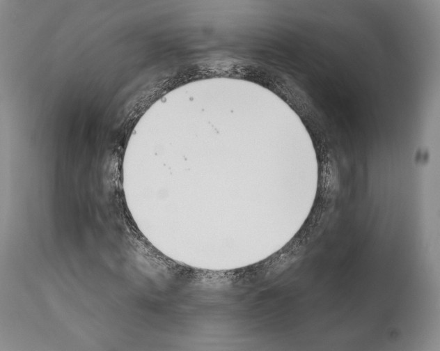 X0000111120820200906301039