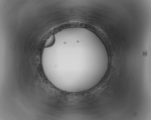 X0000111120821200906301039
