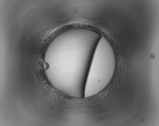 X0000111120822200906301039