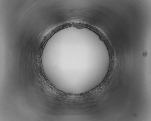 X0000111120823200906301039