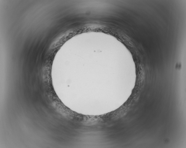 X0000111120824200906301039