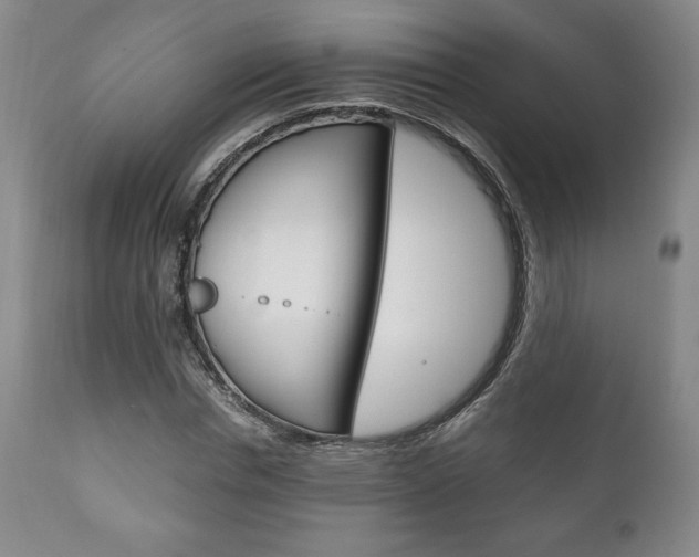X0000111120826200906301039