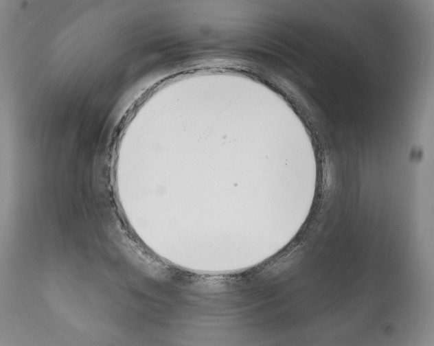 X0000111120828200906301039