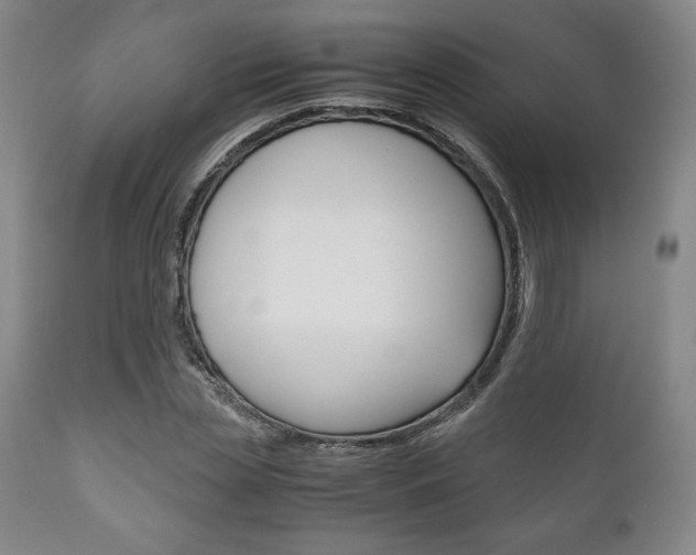 X0000111120829200906301039