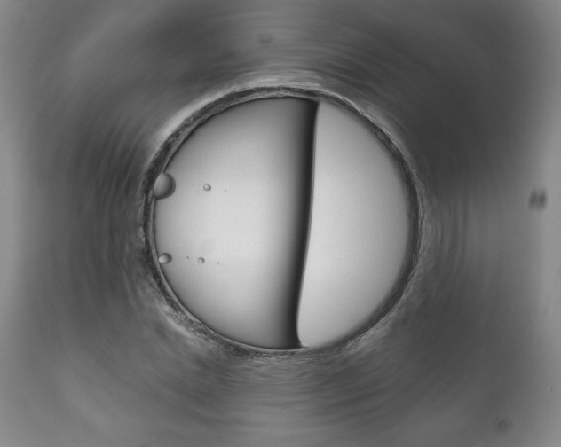 X0000111120830200906301039