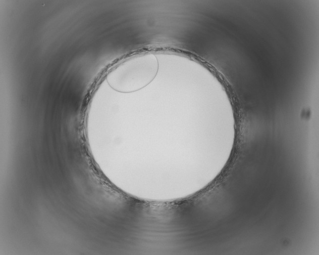 X0000111120832200906301039