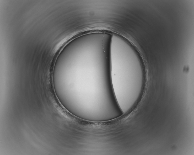 X0000111120834200906301039