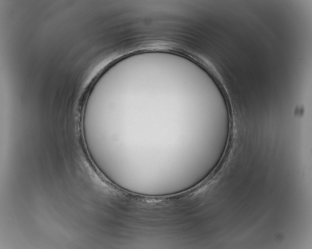 X0000111120835200906301039