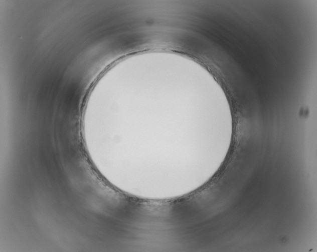 X0000111120836200906301039