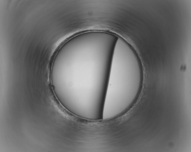 X0000111120838200906301039