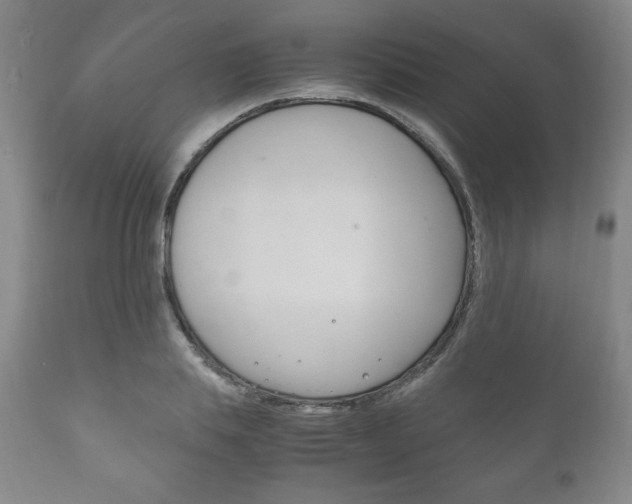 X0000111120839200906301039