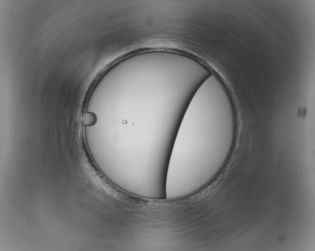 X0000111120840200906301040