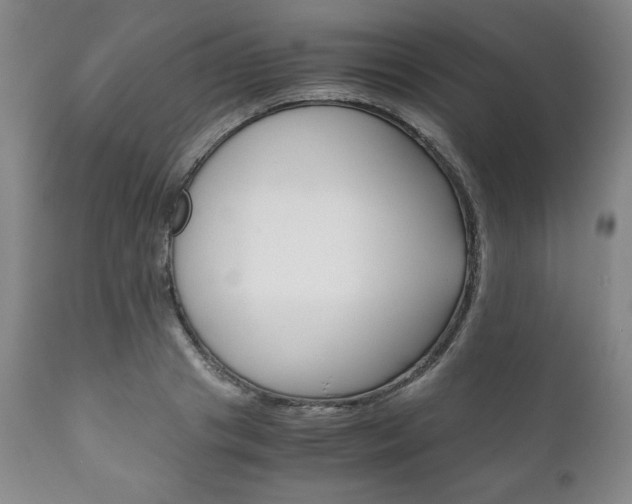 X0000111120841200906301040