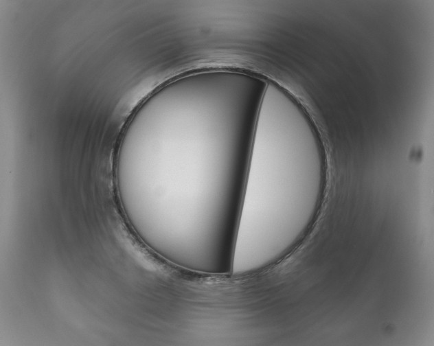 X0000111120842200906301040
