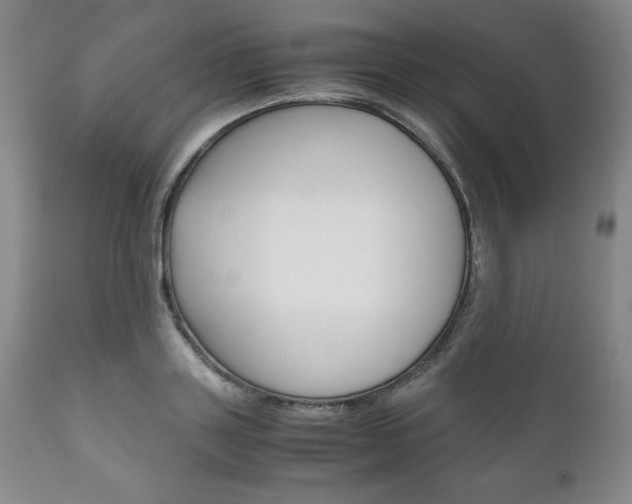 X0000111120843200906301040