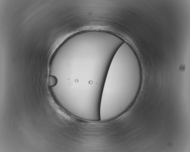 X0000111120844200906301040