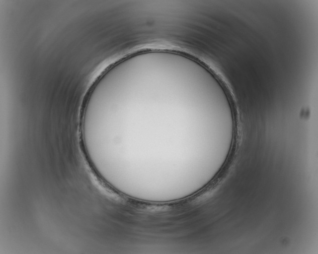 X0000111120845200906301040