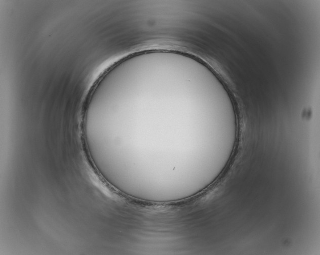 X0000111120846200906301040
