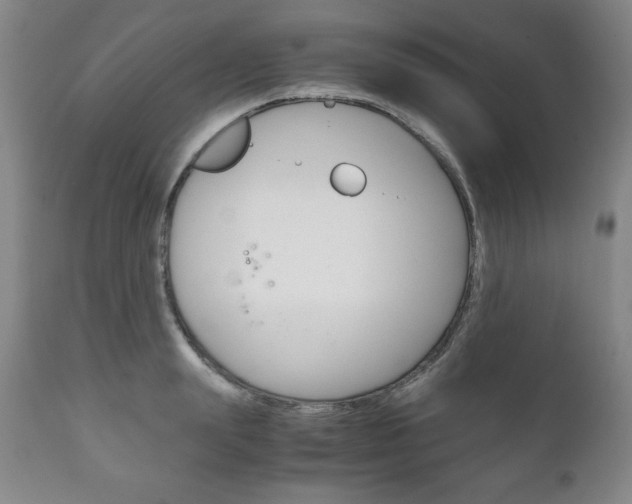 X0000111120847200906301040