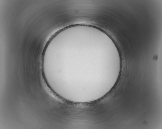 X0000111120848200906301040