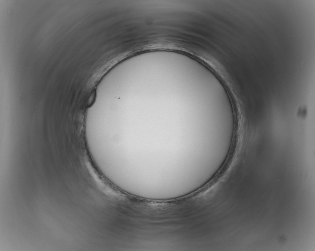 X0000111120849200906301040
