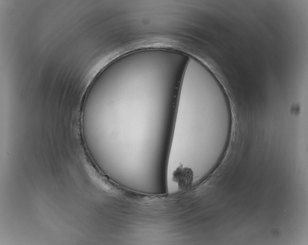 X0000111120850200906301040