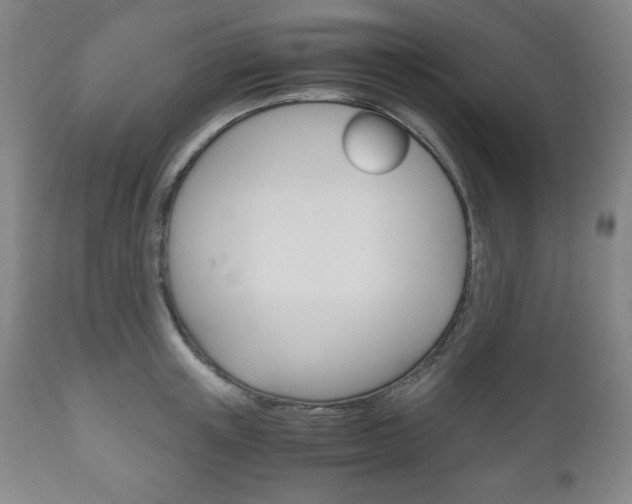 X0000111120851200906301040