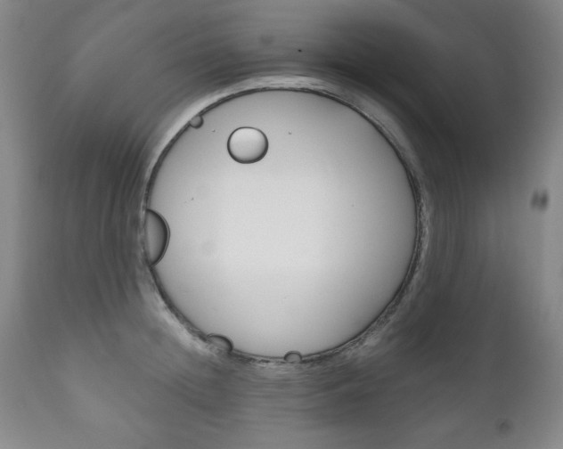 X0000111120852200906301040