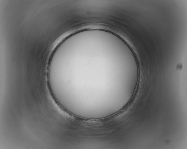 X0000111120853200906301040