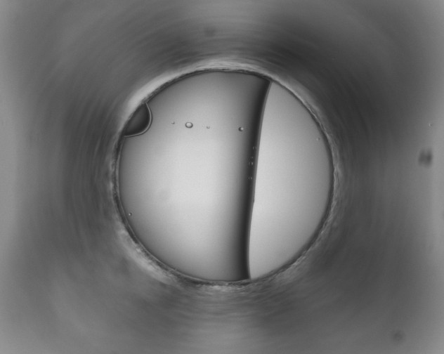 X0000111120854200906301040