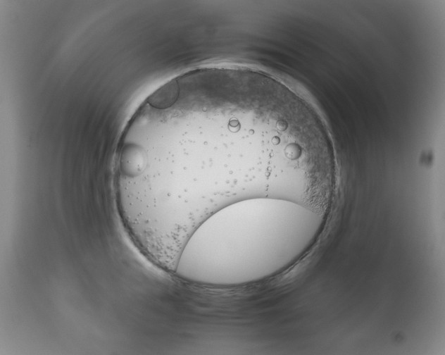 X0000111120855200906301040