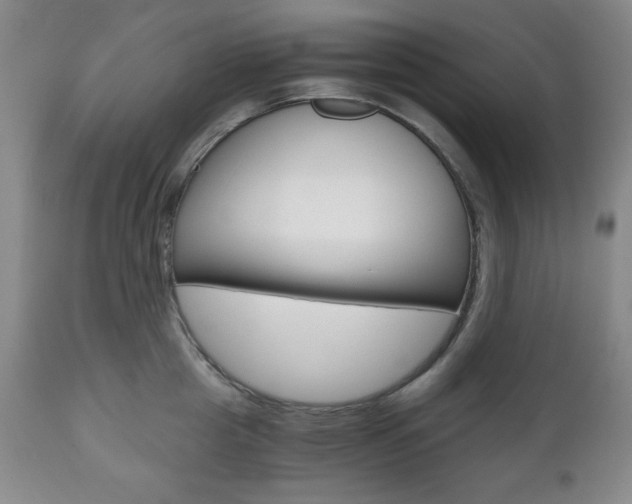 X0000111120857200906301040