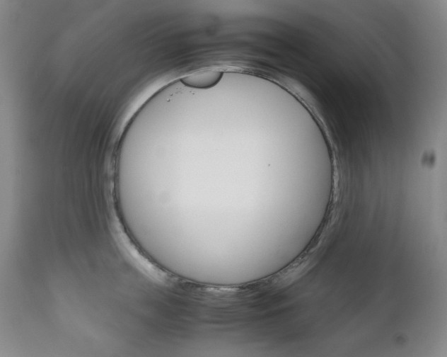 X0000111120859200906301040