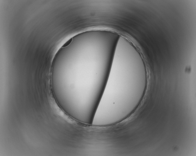 X0000111120860200906301040