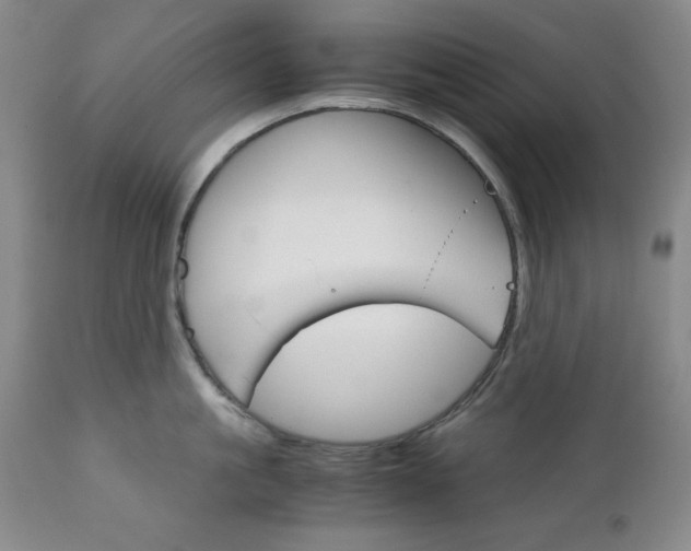 X0000111120861200906301040